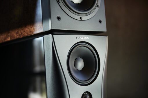 Dynaudio Evidence Master Ultra-High-Performance Loudspeaker - Image 13