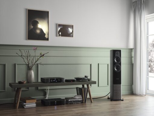 Dynaudio Contour 30i High-Performance Floor-standing Speaker - Image 18