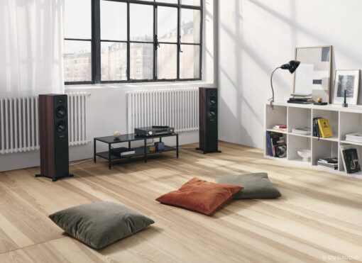 Dynaudio Emit 30 Floor-standing Speaker - Image 14