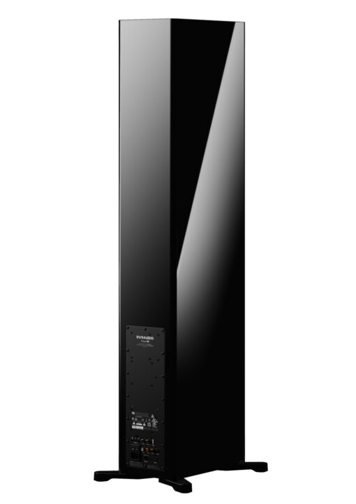 Dynaudio Focus 50 Large Floor-standing Active Wireless Speakers - Image 22