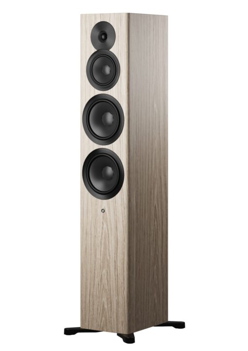 Dynaudio Focus 50 Large Floor-standing Active Wireless Speakers - Image 19