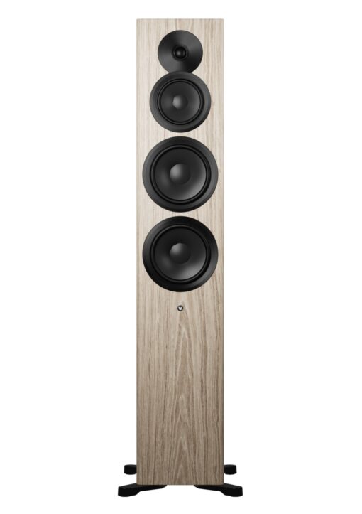 Dynaudio Focus 50 Large Floor-standing Active Wireless Speakers - Image 18