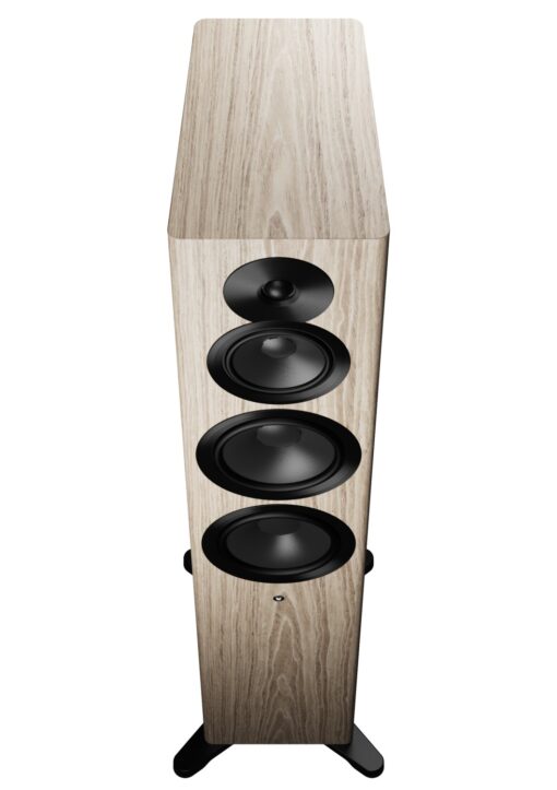 Dynaudio Focus 50 Large Floor-standing Active Wireless Speakers - Image 17