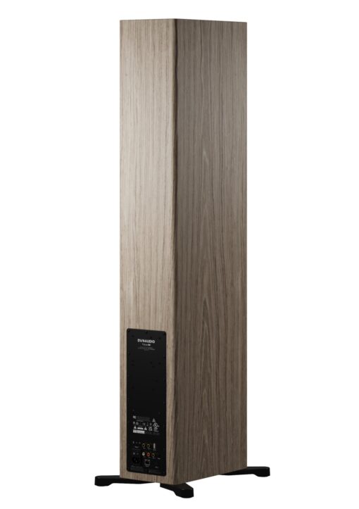 Dynaudio Focus 50 Large Floor-standing Active Wireless Speakers - Image 16