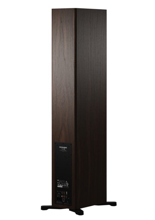 Dynaudio Focus 50 Large Floor-standing Active Wireless Speakers - Image 10