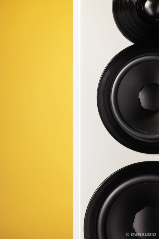 Dynaudio Focus 50 Large Floor-standing Active Wireless Speakers - Image 30