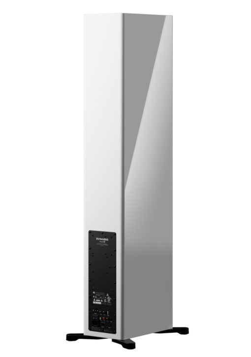 Dynaudio Focus 50 Large Floor-standing Active Wireless Speakers - Image 5