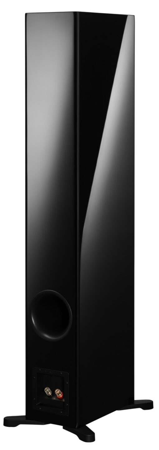 Dynaudio Evoke 50 Floor-standing Speakers - Image 13