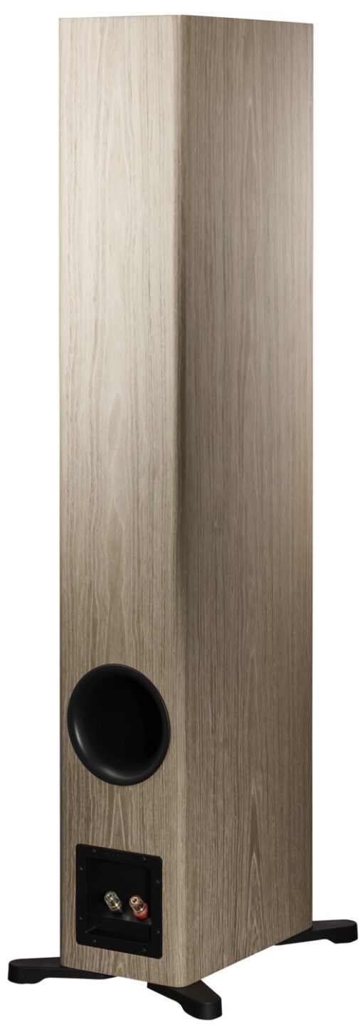 Dynaudio Evoke 50 Floor-standing Speakers - Image 10