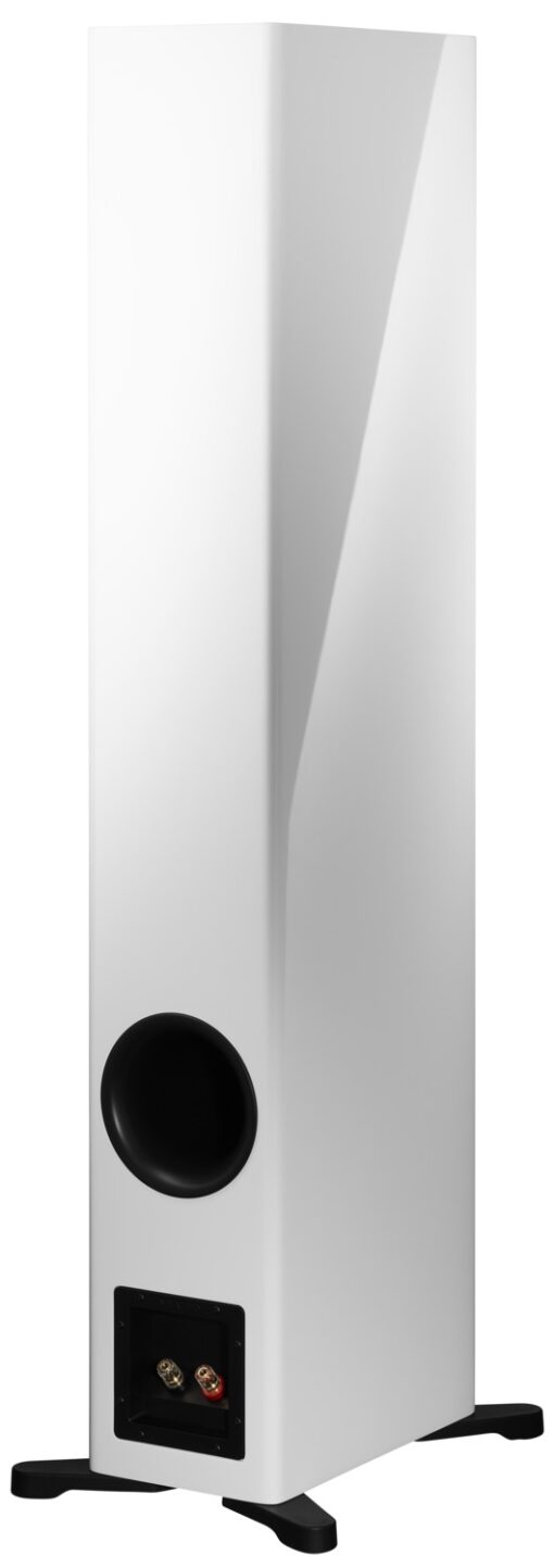 Dynaudio Evoke 50 Floor-standing Speakers - Image 4