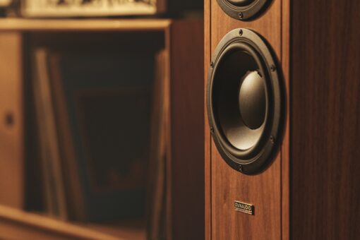 Dynaudio Contour Legacy Special Edition Loudspeaker - Image 10